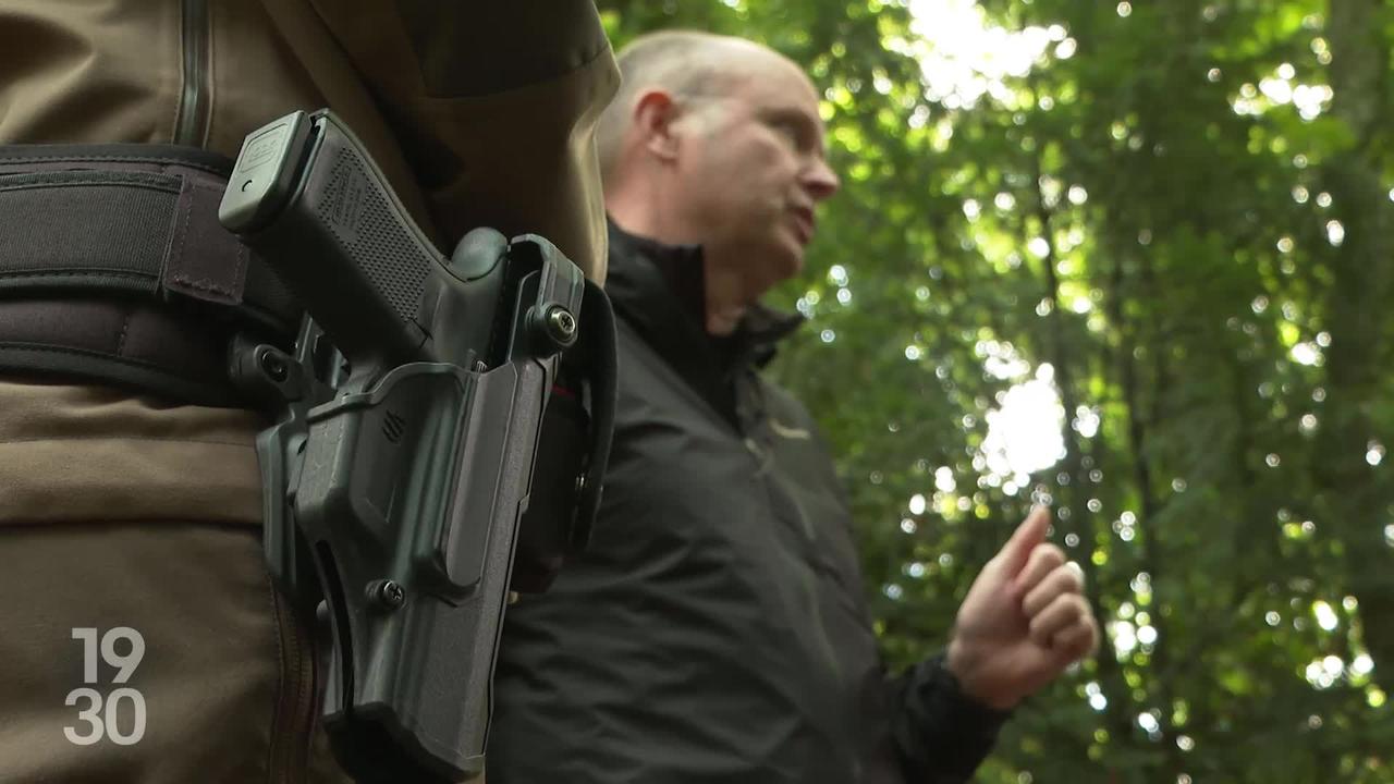 Le canton de Neuchâtel doit euthanasier le lynx « Diego » après une rencontre problématique