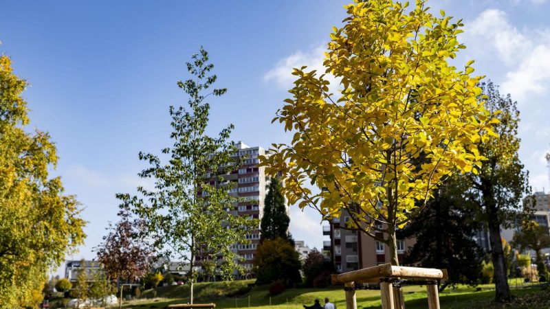 Genève: Nicolas Walder (Verts) face à Lionel Dugerdil (UDC) dans l’élection complémentaire