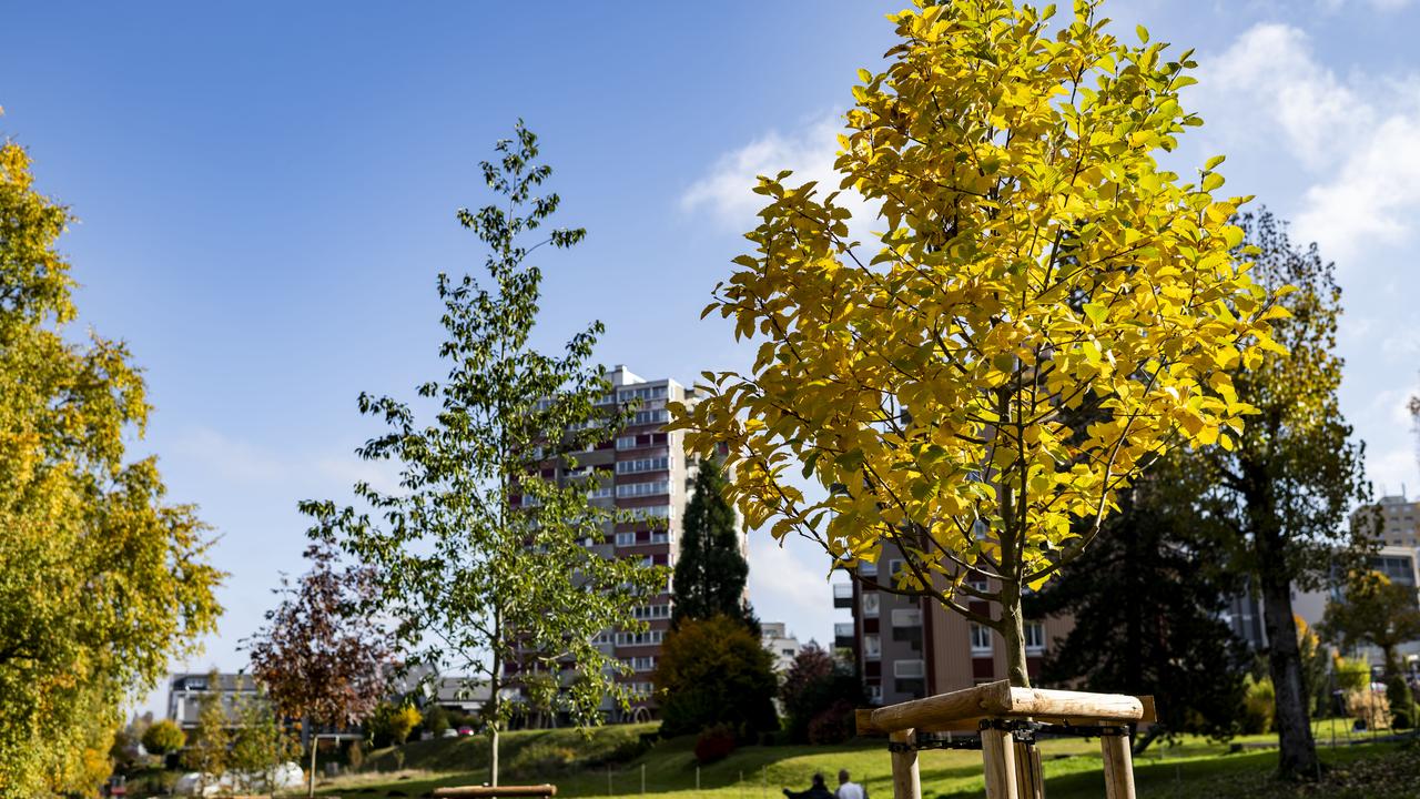 Genève: Nicolas Walder (Verts) face à Lionel Dugerdil (UDC) dans l’élection complémentaire