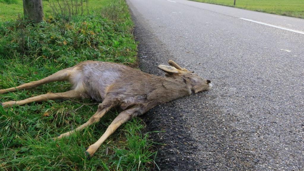 Contre-projet sur l’inclusion : critiques et réactions des acteurs