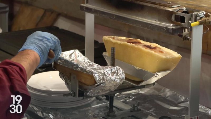 Mondiaux de la raclette à Morgins : des fromages japonais, canadiens et australiens en lice