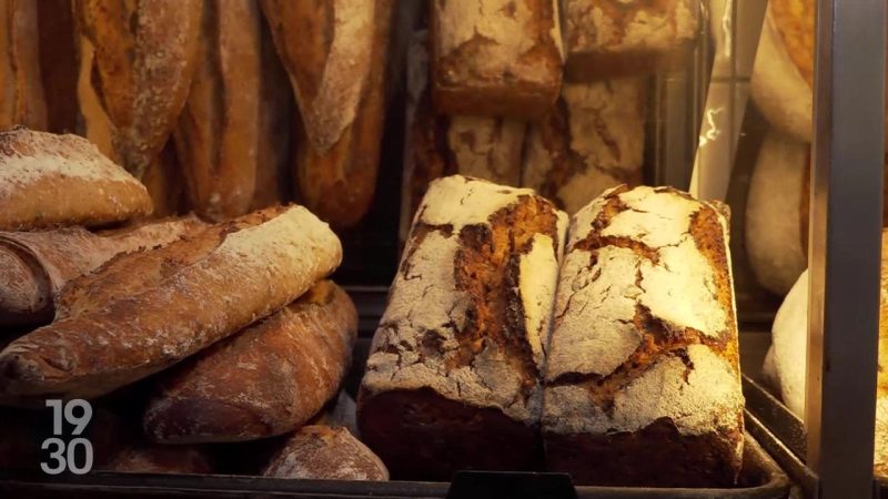 Antibiorésistance : données GLASS et inquiétudes d’experts face à une menace croissante