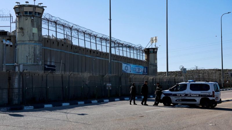 Fuligule à tête noire rare observé dans le port de Neuchâtel, un visiteur nord-américain sur le lac