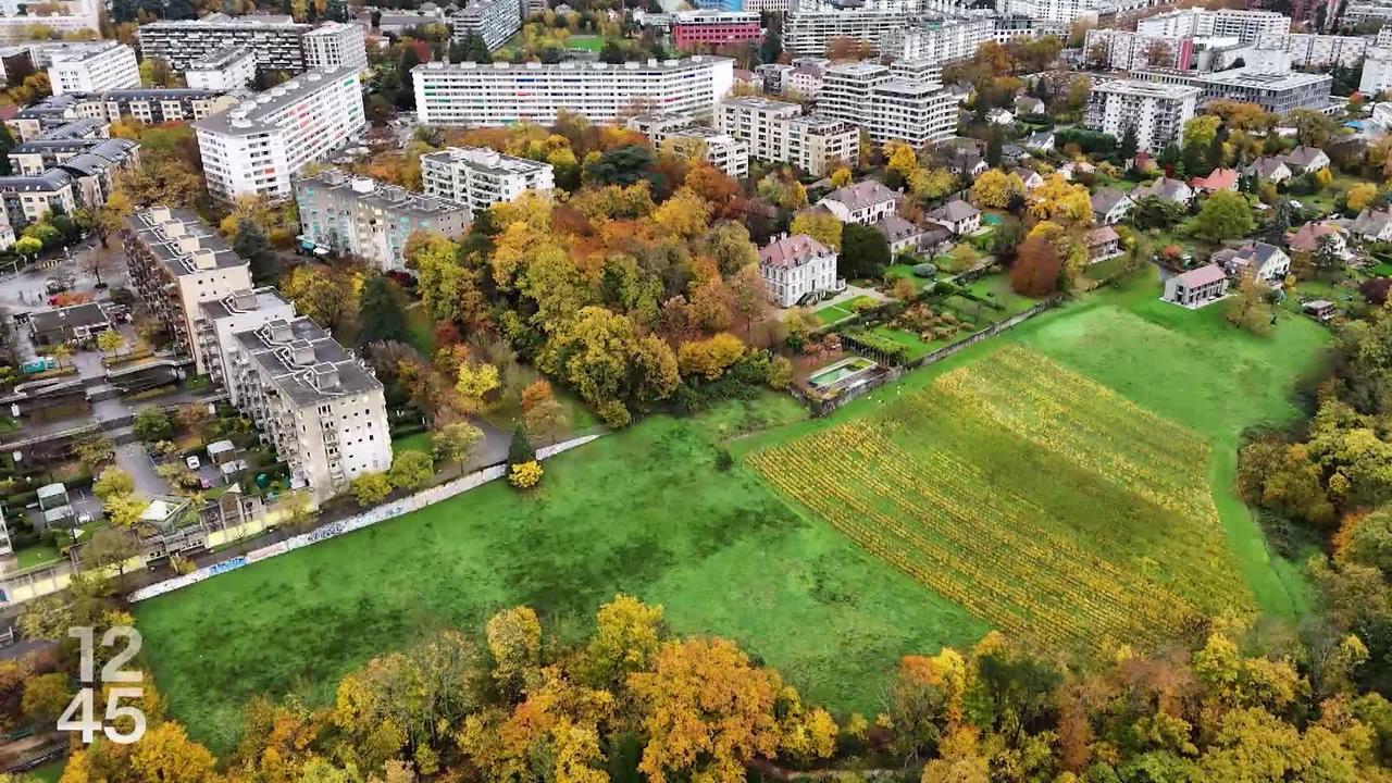 Bâle s’impose face au Steaua Bucarest grâce à Shaqiri et à une domination numérique tardive