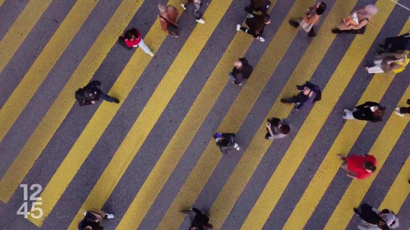 Neige en plaine perturbe les axes vaudois et provoque des fermetures (A12 entre Châtel-St-Denis et Vevey)