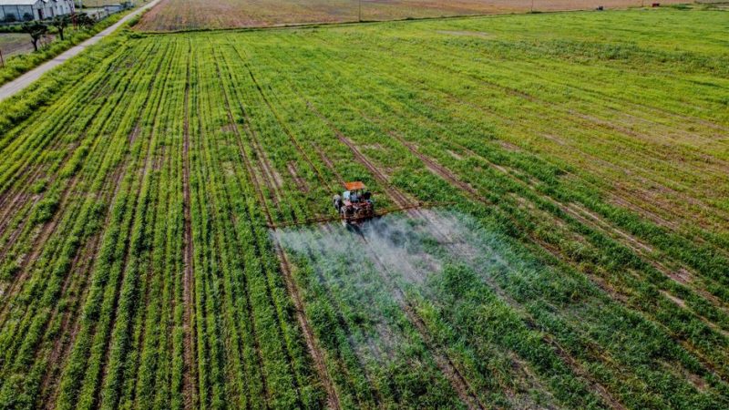 Pesticides : les sénateurs autorisent une réintroduction que le gouvernement rejette